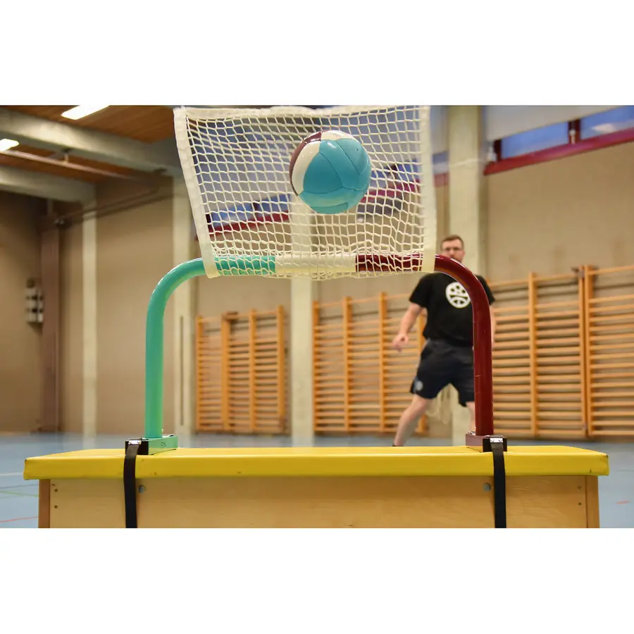 FooBaSkill mål Offisielt mål 