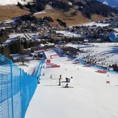 Alpingjerde B med stolper | 15 meter Bl&#229;tt | 2 m | 7x7 cm maske