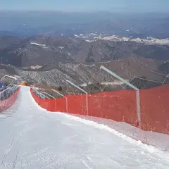 Alpingjerde A for bratt terreng Rødt | 25x4 m | 5x5 cm