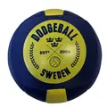 Dodgeball Sweden Str.3 | Kanonball