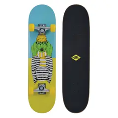 Schildkr&#246;t Skateboard Kicker 31 Rullebrett | Nybegynner