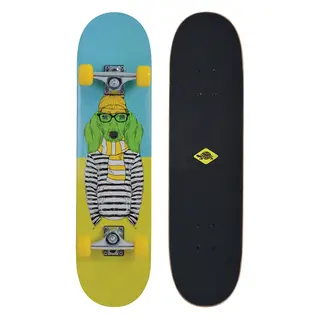 Schildkröt Skateboard Kicker 31 Rullebrett | Nybegynner