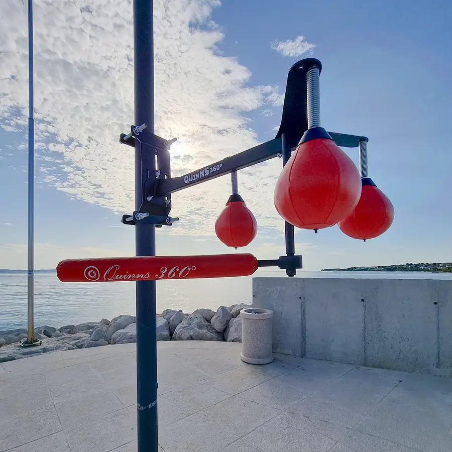 Quinns 360° Boxtrainer Reflekstrener 