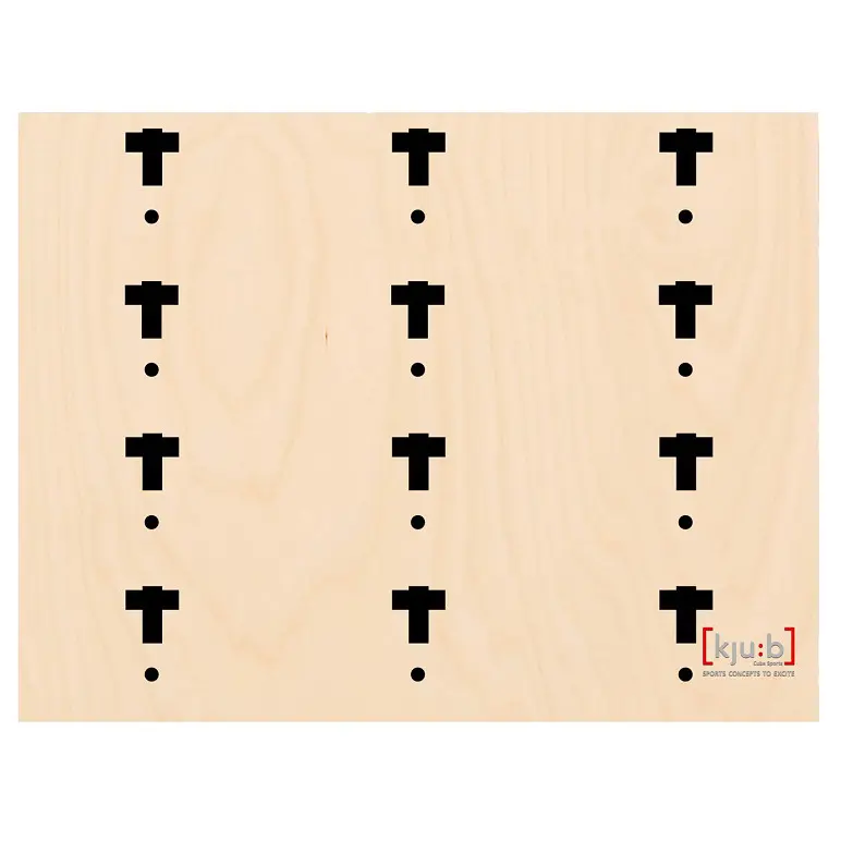 Cube Sports Multifunksjonell vegg 315 x 240 cm 