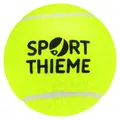 Tennisballer 60 stykk | Treningsball