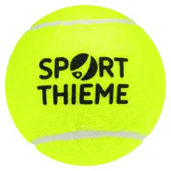 Tennisballer 60 stykk | Treningsball