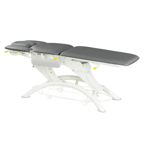 Behanldingsbenk Elektrisk Lojer Capre F5 Gr&#229; |  202 x 65 cm | MDR