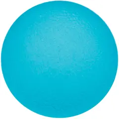 Håndtrener Sport-Thieme Physioball Lys Blå | Lett