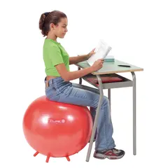 Sitteballer Sit`n Gym 55 cm Rød (12) 12 populære sitteballer