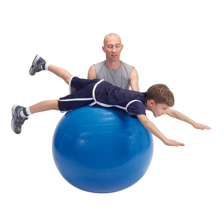 Gymnic Physio Pakketilbud 4 stk. 95 cm 4 lateksfrie terapi- og treningsballer 