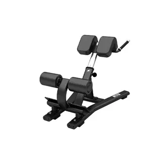 Treningsbenk ata Back Extension Justerbar | Rygghev