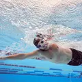 Biofuse 2.0 Sv&#248;mmebrille Speedo | Bl&#229; linse | Bl&#229;