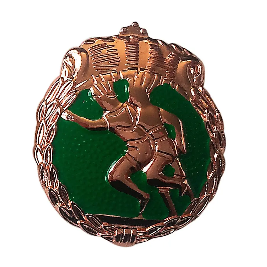 Barneskolens idrettsmerke - bronse 