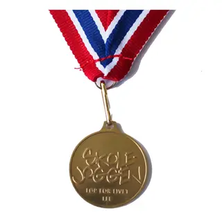 Skolejoggen medalje