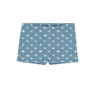 Dino Petrol Badebukse Slipstop | Bl&#229;/Hvit | Polyester/Elastan