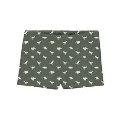 Dino Green Badebukse 116-122cm Slipstop | Gr&#248;nn| Polyester/Elastan