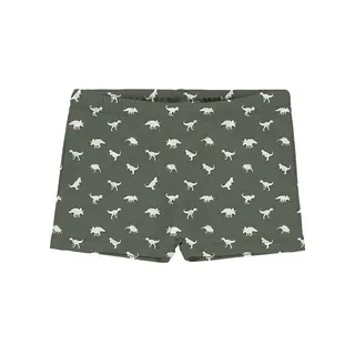 Dino Green Badebukse Slipstop | Gr&#248;nn/Hvit |Polyester/Elastan