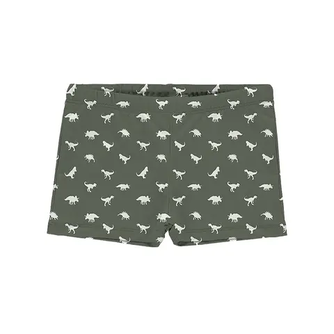 Dino Green Badebukse Slipstop | Gr&#248;nn/Hvit |Polyester/Elastan