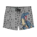 Goliath Short Badebukse Slipstop | Gr&#229;/Flerfarget | Polyester