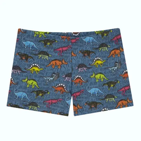 Texas Trunk Badebukse Slipstop | Flerfarget |Polyester/Elastan