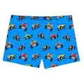 Bogie Trunk Badebukse Slipstop | Flerfarget |Polyester/Elastan