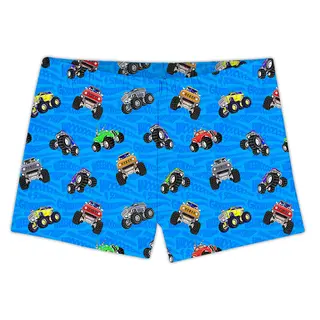 Bogie Trunk Badebukse Slipstop | Flerfarget |Polyester/Elastan