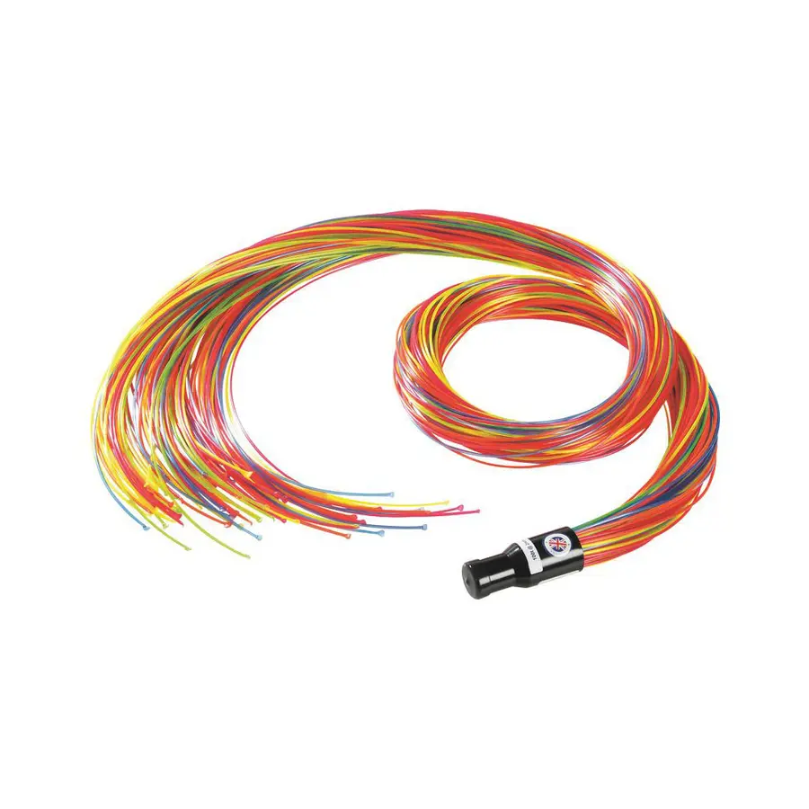 Fiberoptikk 100 flerfargede tråder 200 cm | med lyskilde 