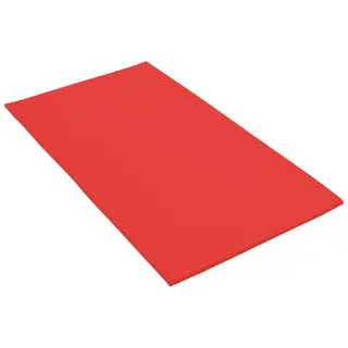 Lekematte 200 x 100 x 2 cm | R&#248;d Matte med borrel&#229;s og antiskliunderlag